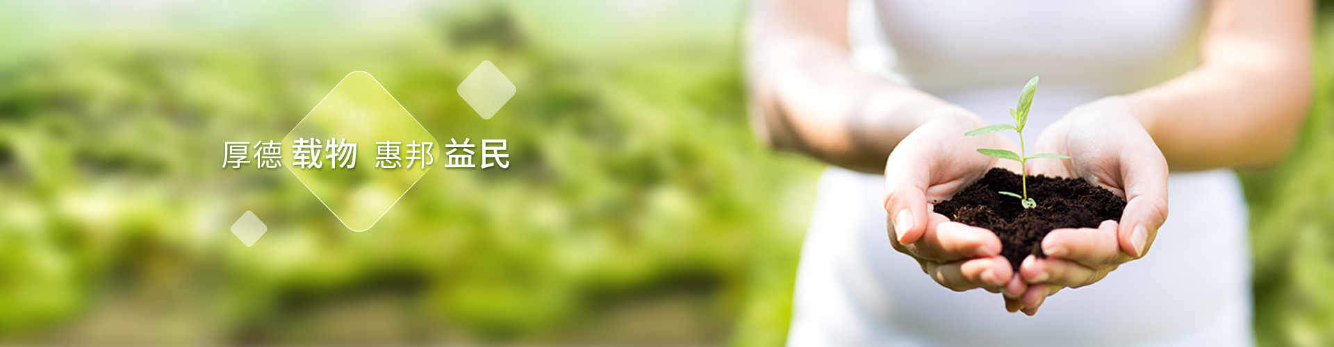 嶺南股份