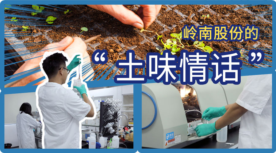 這是一篇很“土”的推文