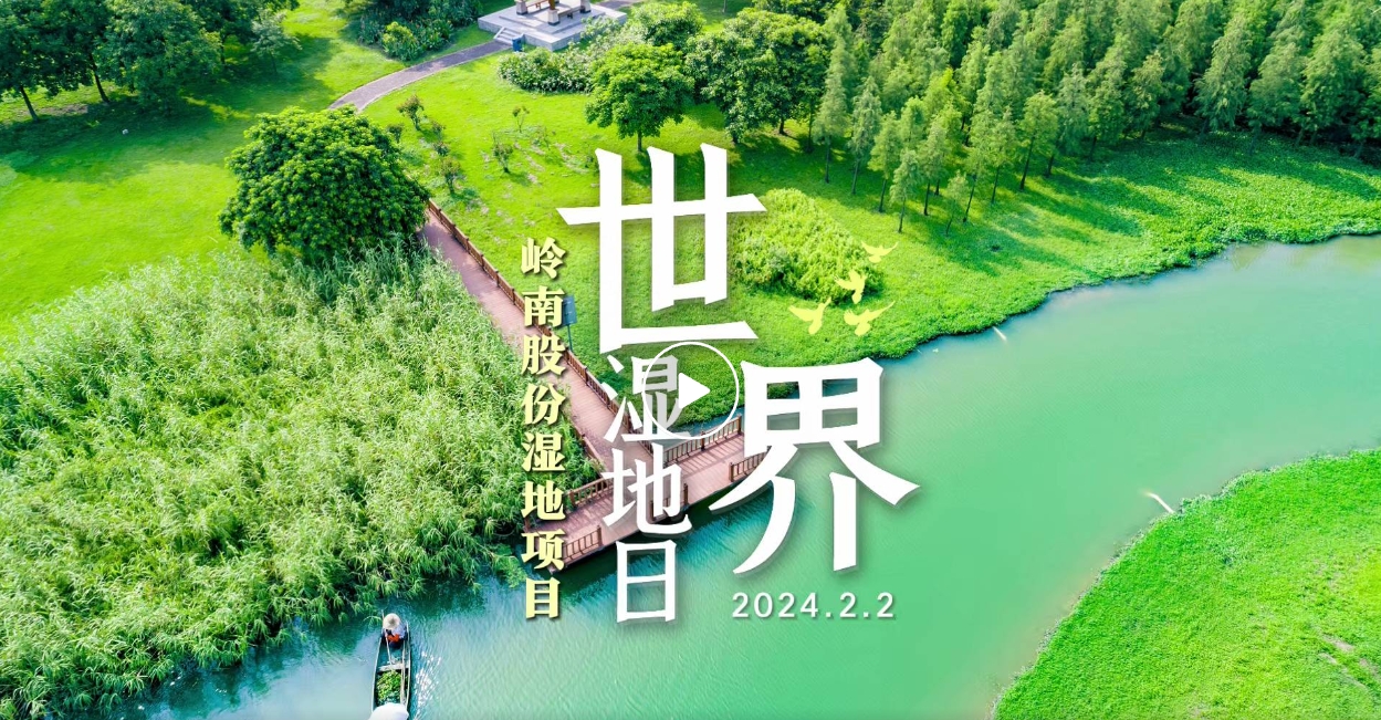 世界濕地日| 嶺南股份帶你領(lǐng)略濕地之美
