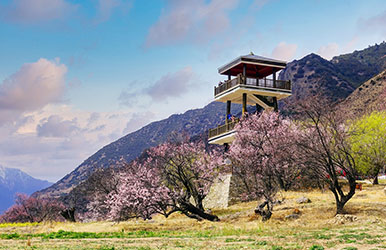西藏林芝·嘎拉小康示范村旅游景觀工程                                                 