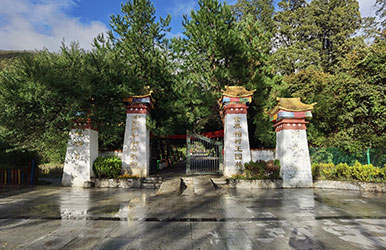 西藏林芝·巴區(qū)大柏樹(shù)提質(zhì)擴(kuò)容建設(shè)景觀設(shè)計(jì)                                          
