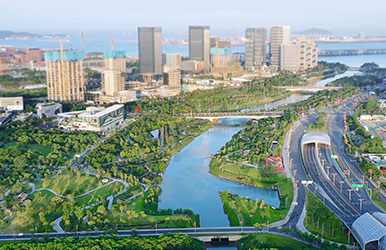 廣東深圳·前海桂灣公園綠化景觀工程