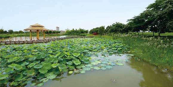 東莞生態(tài)園.jpg
