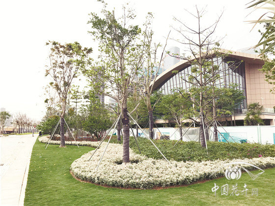 微信圖片_20200720190828.jpg