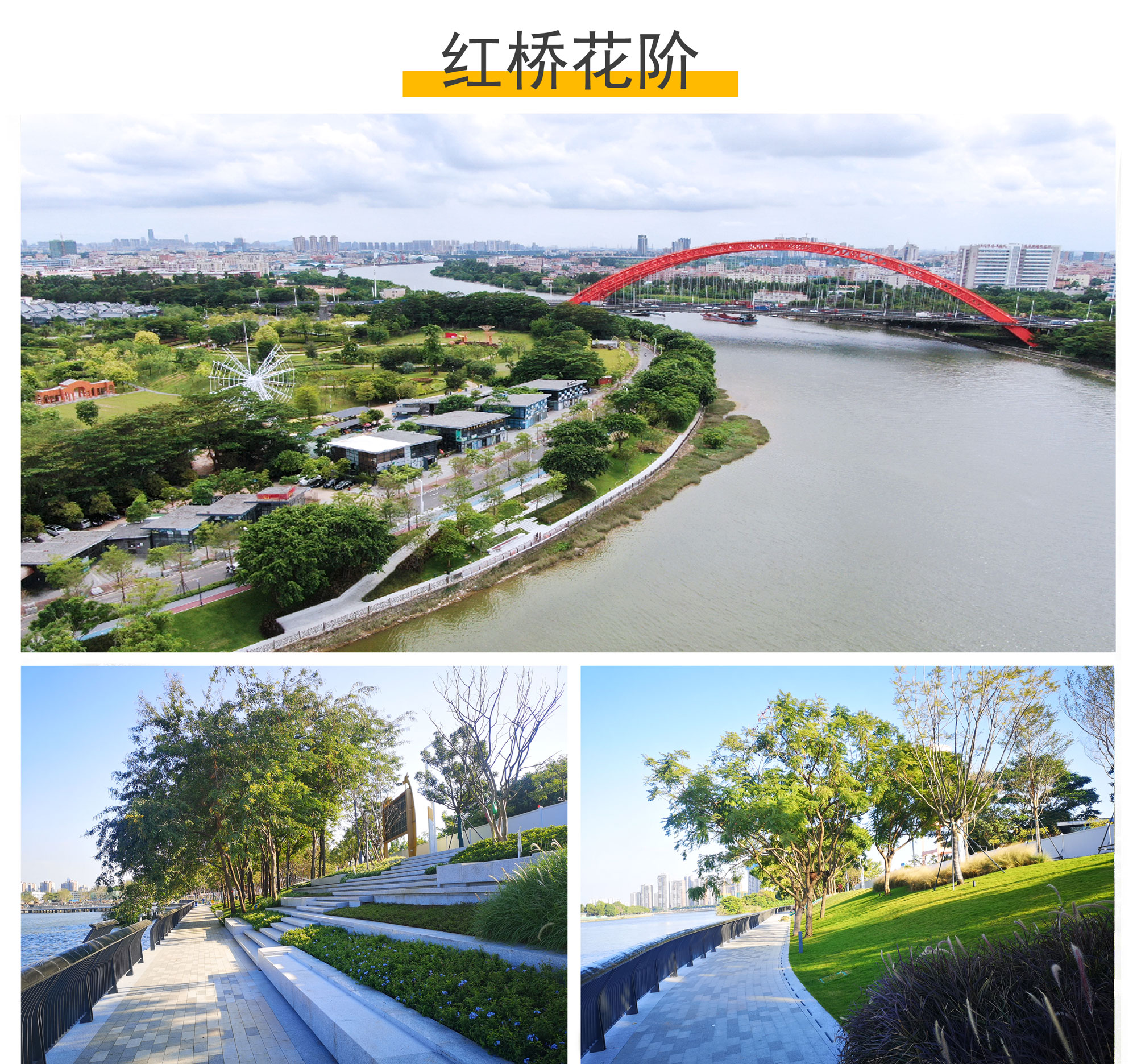 紅橋花階.jpg