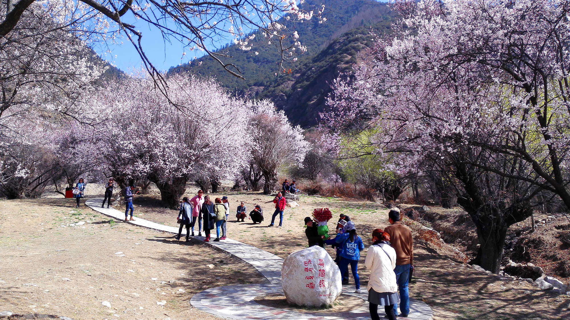林芝縣嘎啦小康示范村旅游景觀工程項(xiàng)目-(11).jpg