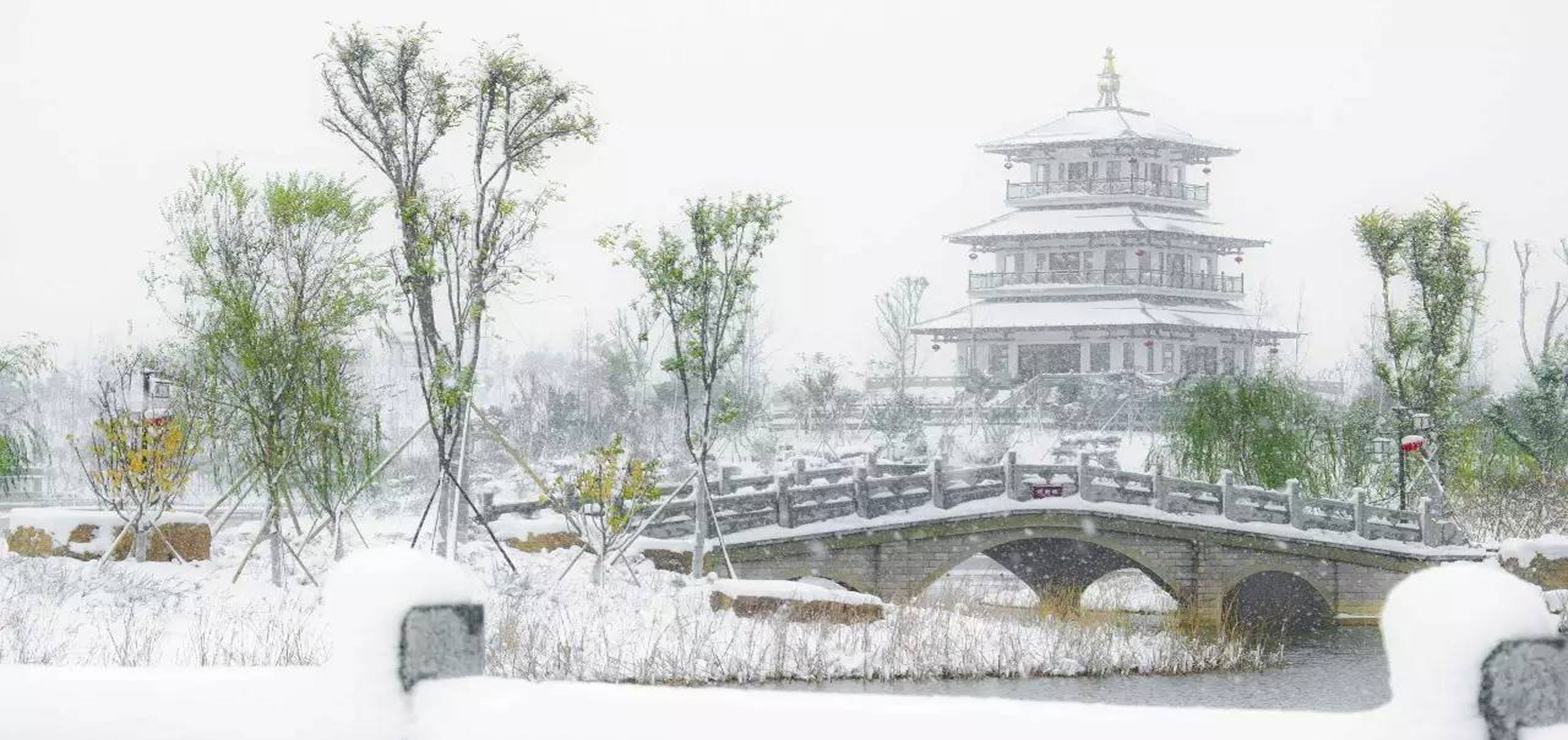 山東寧陽復圣文化園.jpg